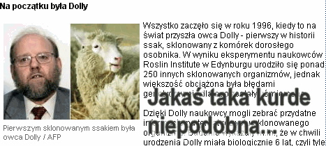 Klon owcy Dolly