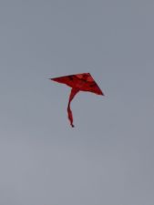 wiosna - spring - kite - aquilone - змей - cometa - latawiec - Drachen - cerf-volant