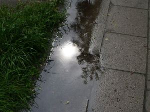 reflection - słońce - odbicie - kałuża - deszcza - kałuża - sun - puddle - rain - wiosna - spring