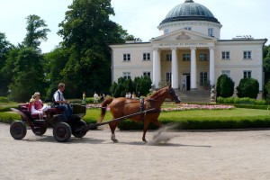palace - architektura - pałac - Lubostroń - pałac - Lubostroń - koń - horse