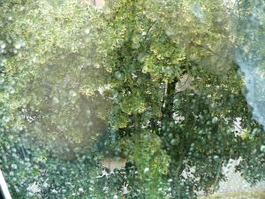 window - szyba - okno - rain - deszcz - glass