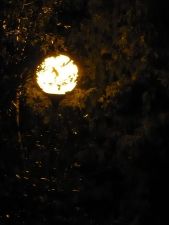 noc - night - moon - księżyc - księżyc - lamp - lampa