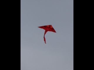 P1070019-latawiec-kite.jpg