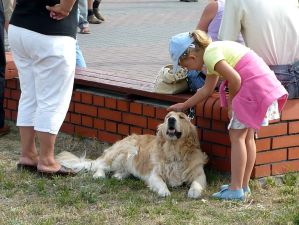 children - zwierzę - animal - собака - fauna - pies - zwierzę - собака - dog - dziecko
