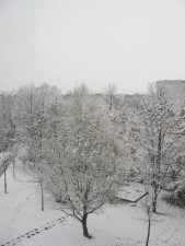 winter - Turek - zima - snow - śnieg